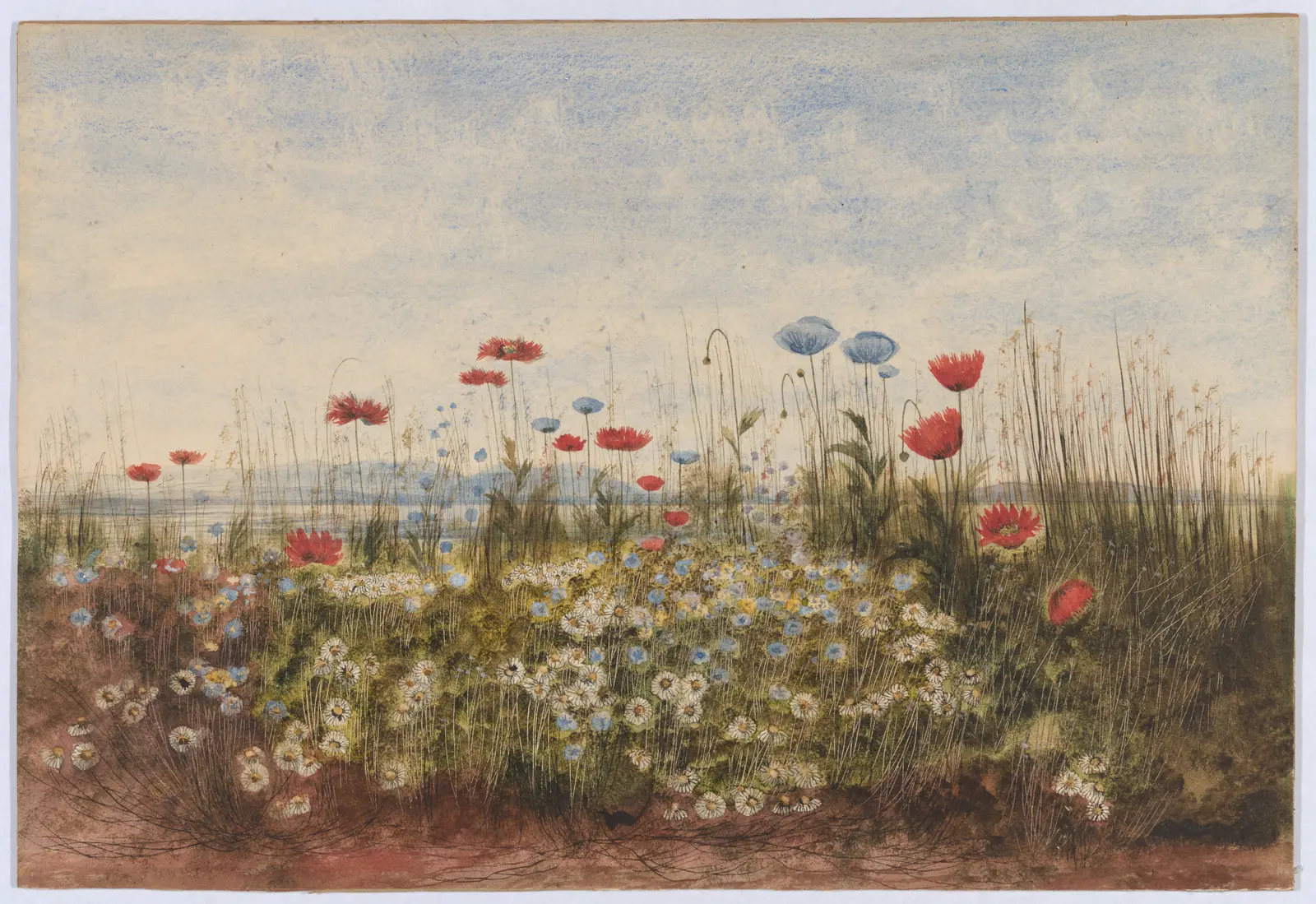 Bank of Wildflowers