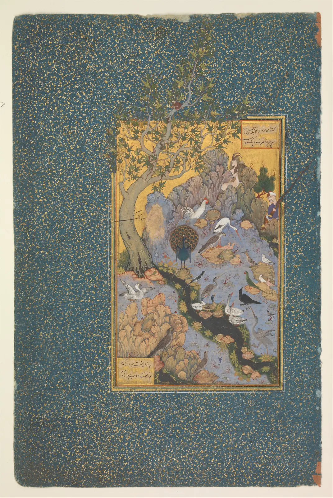 "The Concourse of the Birds", Folio 11r from a Mantiq al-Tayr (Language of the Birds), The Metropolitan Museum of Art